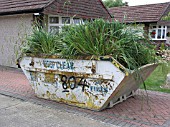 PLANTS IN A SKIP,  FOUNTAIN GRASS ,  PENNISETUM SETACEUM.