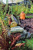 MARROWS AND PUMPKINS