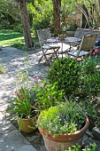 PLANTS IN POT, OUTDOOR TABLE AND CHAIRS, TERRACE, LIMESTONE, SUNNY