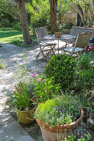 PLANTS_IN_POT_OUTDOOR_TABLE_AND_CHAIRS_TERRACE_LIMESTONE_SUNNY