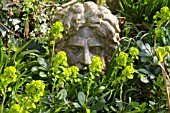 EUPHORBIA WITH STONE GARDEN ORNAMENT