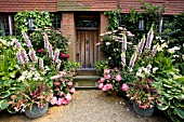 EAST RUSTON OLD VICARAGE FRONT DOOR