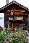 HOUSE ON LAKE LEMAN IN FRANCE WITH PRETTY GARDEN INCLUDING DAHLIA, GERANIUM AND VERBENA.