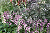 THE LAURENT PERRIER GARDEN PLANTING BY LUCIANO GIUBBILEI