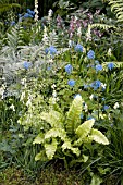 CORNISH MEMORIES GARDEN PLANTING BY TOM HOBLYN