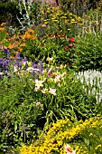 HERBACEOUS BORDER