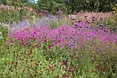 THE MILLENNIUM GARDEN BY PIET OUDOLF AT PENSHORPE