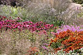 THE MILLENNIUM GARDEN AT PENSTHORPE BY PIET OUDOLF