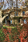 PROVENCAL FARMHOUSE GARDEN, AUTUMN COLOURS