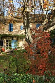 PROVENCAL FARMHOUSE GARDEN, AUTUMN COLOURS