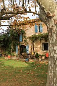 PROVENCAL FARMHOUSE GARDEN, AUTUMN COLOURS