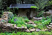 THE NATURALLY DRY GARDEN BY VICKIE HARRIS CHELSEA 2012