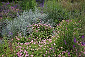 DROUGHT TOLLERANT PLANTING AT NATBOROUGH HALL GARDENS