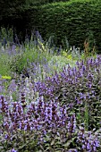 DROUGHT TOLLERANT PLANTING AT NARBOROUGH HALL GARDENS