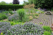 DROUGHT TOLLERANT PLANTING AT NARBOROUGH HALL GARDENS