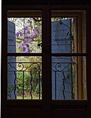 WISTERIA SINENSIS, WINDOW VIEW, BALCONY