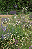 WILD PLANTING AT NARBOROUGH HALL GARDENS