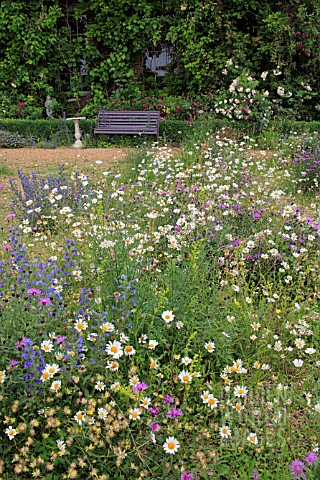WILD_PLANTING_AT_NARBOROUGH_HALL_GARDENS