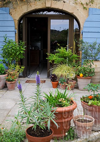 PLANTS_IN_POTS_BY_A_STONE_FARMHOUSE_DOORWAY_PATIO
