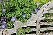 GERANIUM BY A LUTYENS GARDEN SEAT