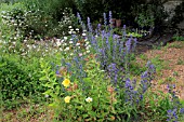 WILD PLANTING AT NARBOROUGH HALL GARDENS