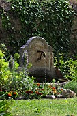 ANCIENT STONE WATER FEATURE WITH TAGETES AND ECHIUM