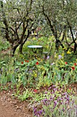 A PERFUMERES GARDEN IN GRASSE BY LOCCITANE DESIGNED BY JAMES BASSON