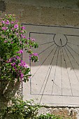 BOUGAINVILLEA ON AN ANCIENT SUNDIAL