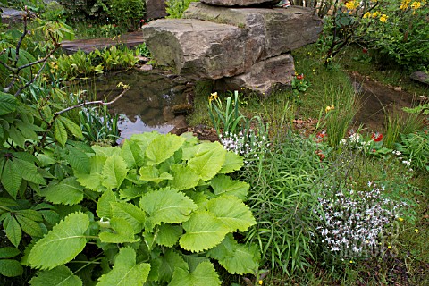 THE_LAURENT_PERRIER_CHATSWORTH_GARDEN_BY_DAN_PEARSON_BEST_IN_SHOW_2015