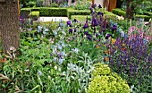 THE MORGAN STANLEY HEALTHY CITIE GARDEN BY CHRIS BEARDSHAW