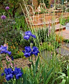 THE ROYAL BANK OF CANADA GARDEN BY MATHEW WILSON