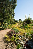 THE DESERT WASH GARDEN IN SUMMER AT EAST RUSTON OLD VICARAGE GARDEN