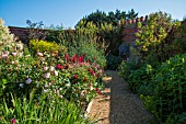 THE DIAMOND JUBILEE GARDEN AT EAST RUSTON OLD VICARAGE IN SUMMER