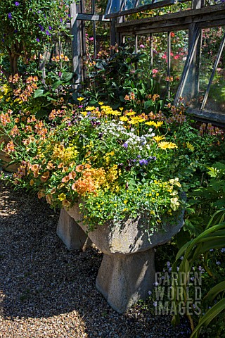 RUSTIC_STONE_TROUGH_WITH_SUMMER_PLANTING_OF_PETUNIAS_AT_EAST_RUSTON_OLD_VICARAGE
