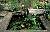 SMALL POND WITH RAILWAY SLEEPERS AND NYMPHAEA