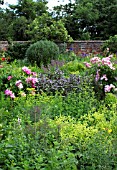 WALLED KITCHEN GARDEN IN EARLY SUMMER