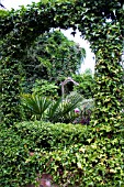 VIEW THROUGH IVY CLAD ARCHWAY INTO GARDEN ROOM