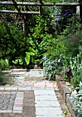 MIXED PAVING IN PATIO AREA COVERED WITH PERGOLA AND MIXED FOLIAGE