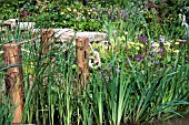 CLOSE UP OF MARGINAL POND BORDER IN SUMMER WITH WOODEN POSTS