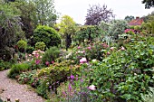 MIXED INFORMAL BORDER IN SUMMER