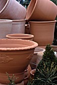 TERRACOTTA  PLANT POTS