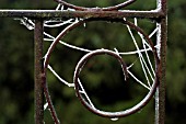 FROST ON SPIDERS WEB ON GATE