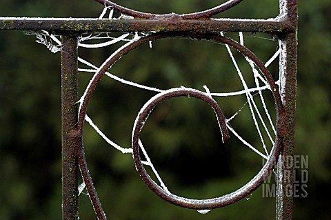 FROST_ON_SPIDERS_WEB_ON_GATE