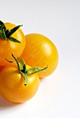 GOLDEN SUNRISE TOMATOES