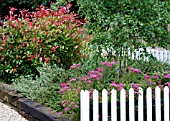 GARDEN WITH PICKET FENCE IN SUMMER