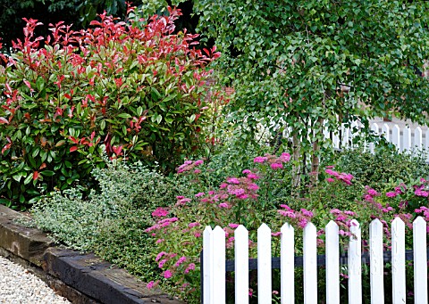 GARDEN_WITH_PICKET_FENCE_IN_SUMMER