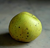 APPLE WITH BITTER PIT