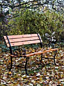 GARDEN BENCH IN AUTUMN