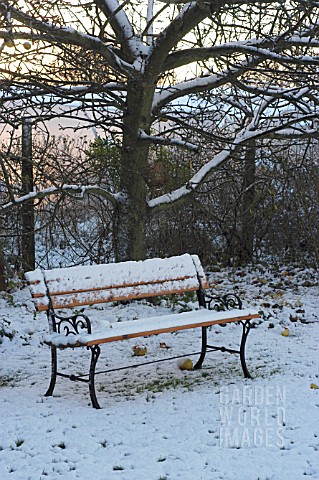 BENCH_IN_WINTER_SNOW