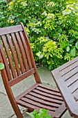 WOODEN CHAIR AND TABLE INFRONT OF A CHOISYA SHRUB